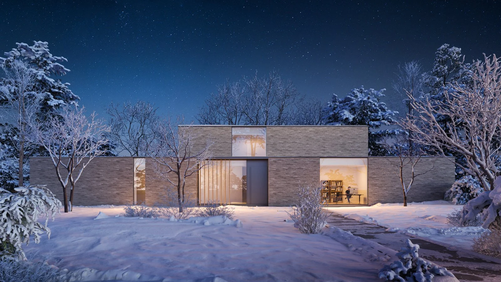 Modern house with large windows surrounded by snow-covered trees at night, with a starry sky overhead.