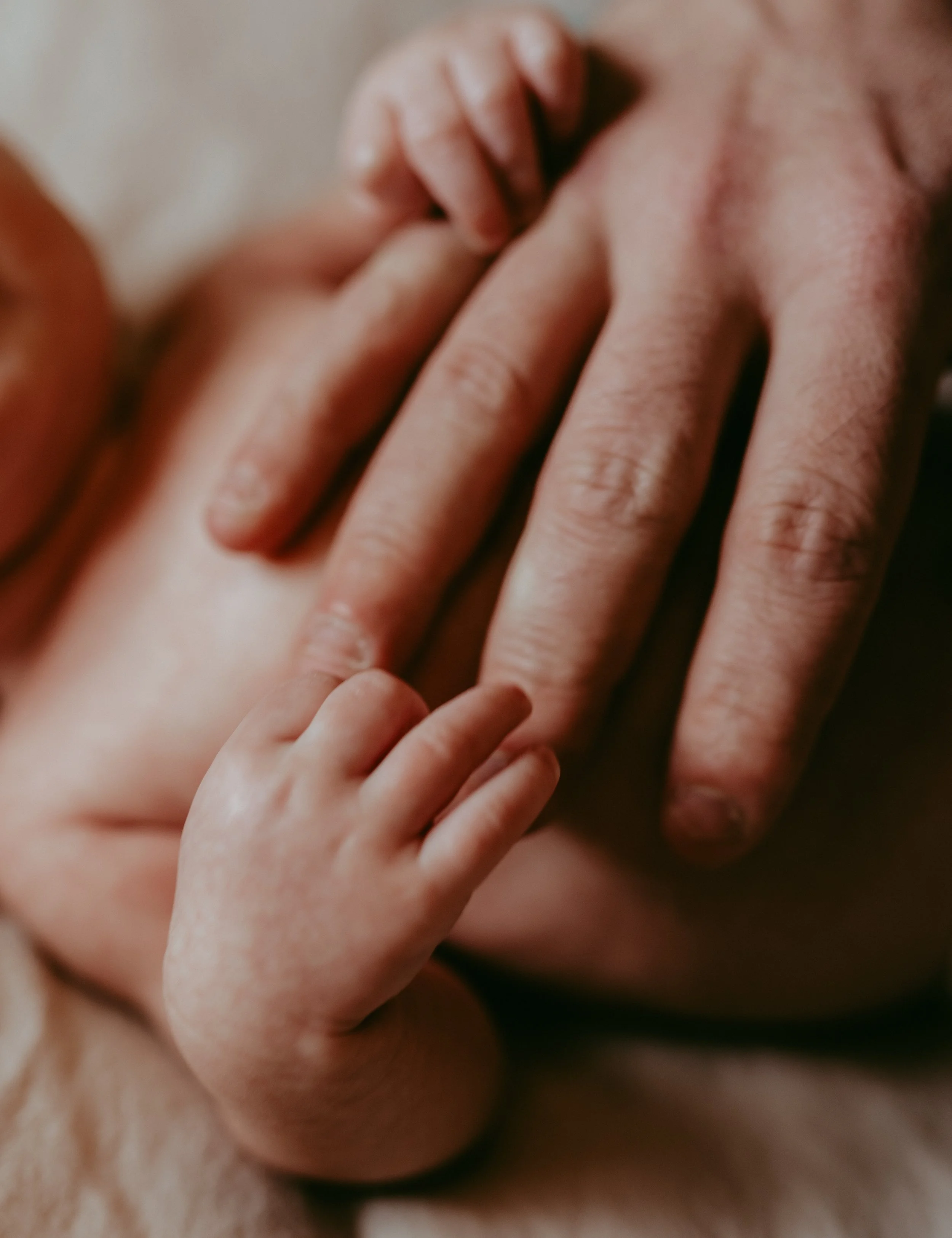 Close-up of an adult's hand gently holding a tiny baby's hand.