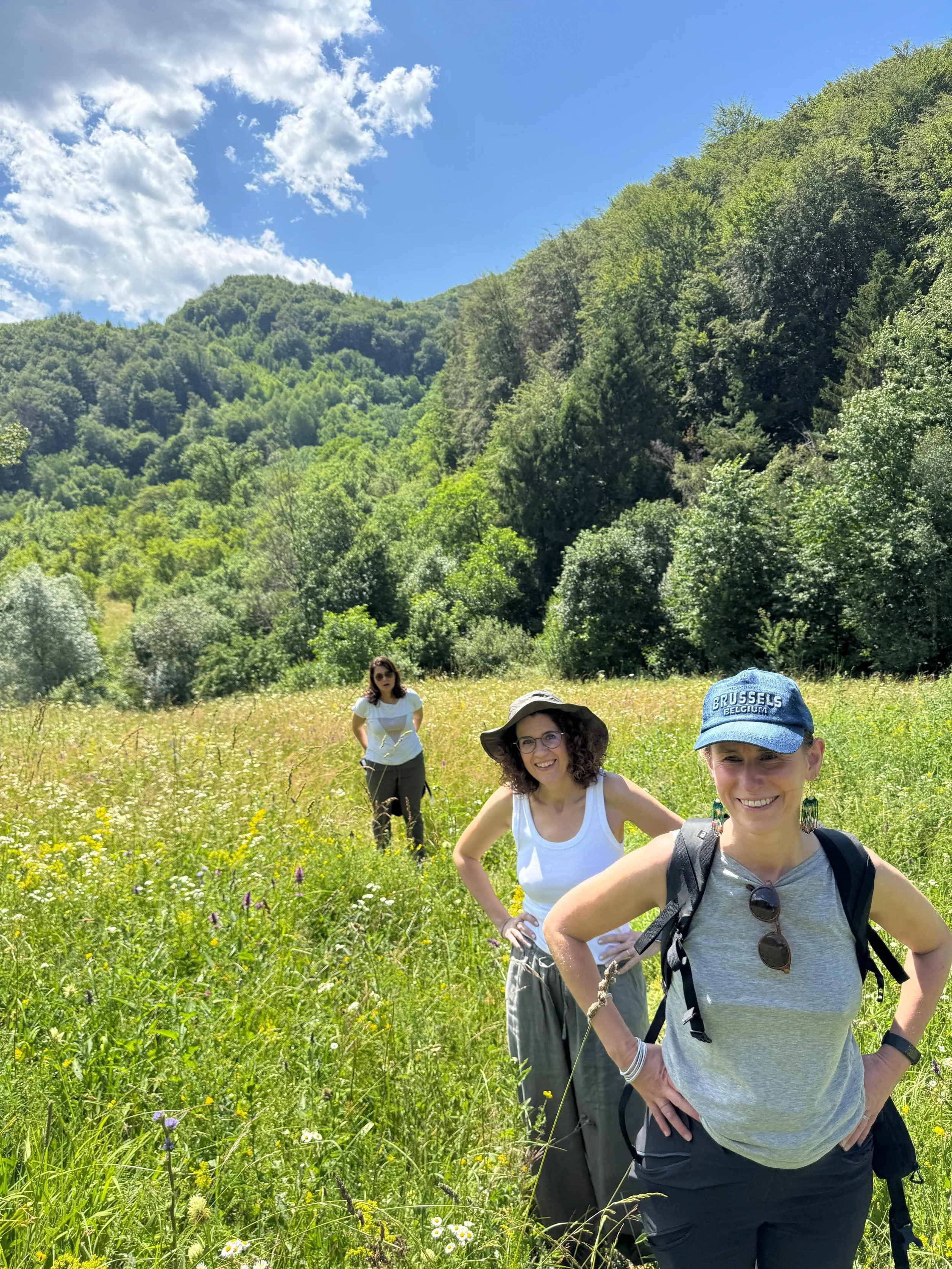 Three women hiking in a lush green meadow with a forest and mountain in the background on a sunny day.