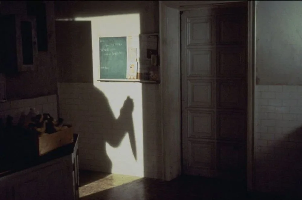 Shadow of a person holding a book, cast on a white door in a dimly lit room with a chalkboard and cabinets.
