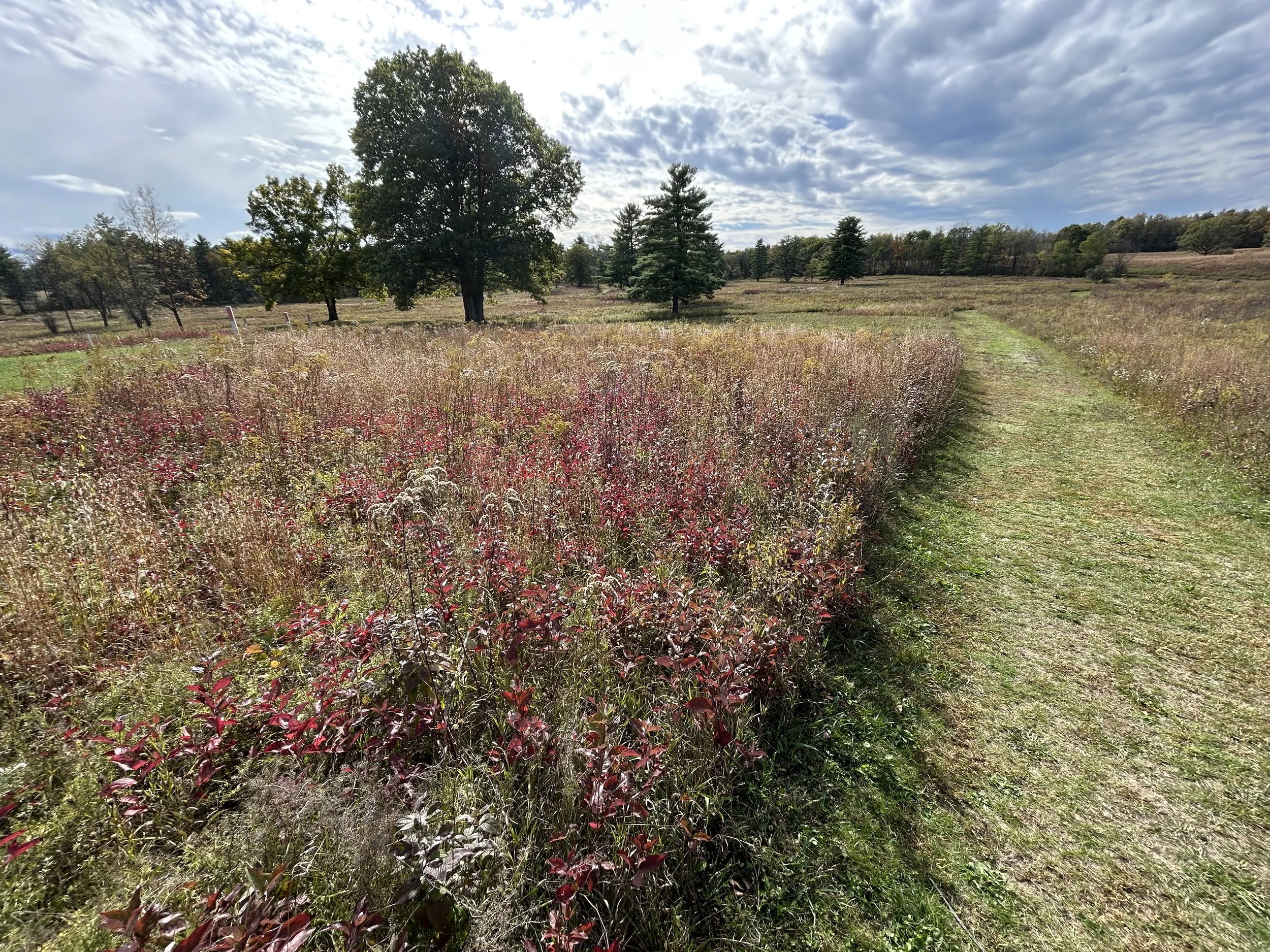 Saratoga National Historical Park, Stillwater, October, 2025
