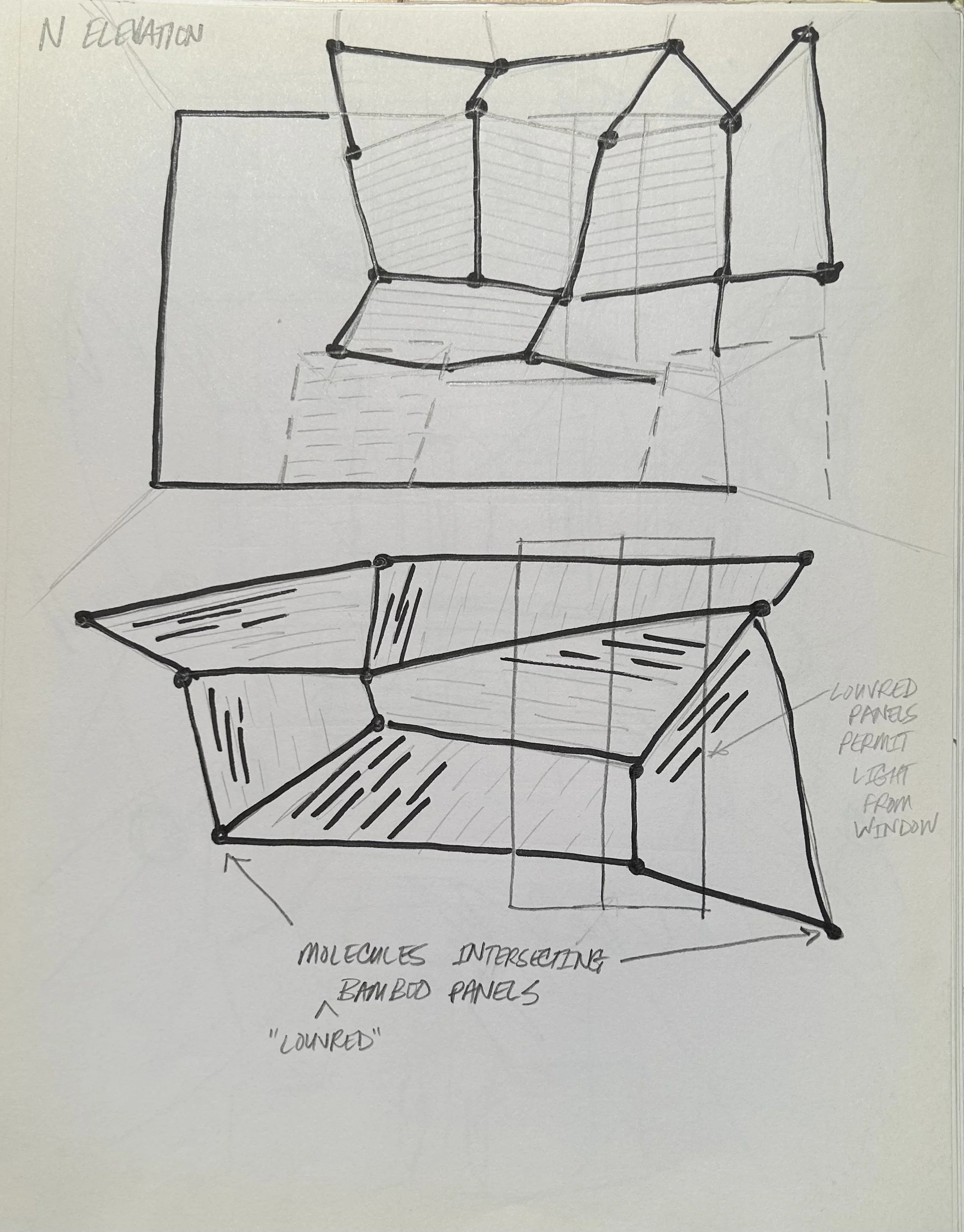 DEFINITE - IMG_1611.jpg