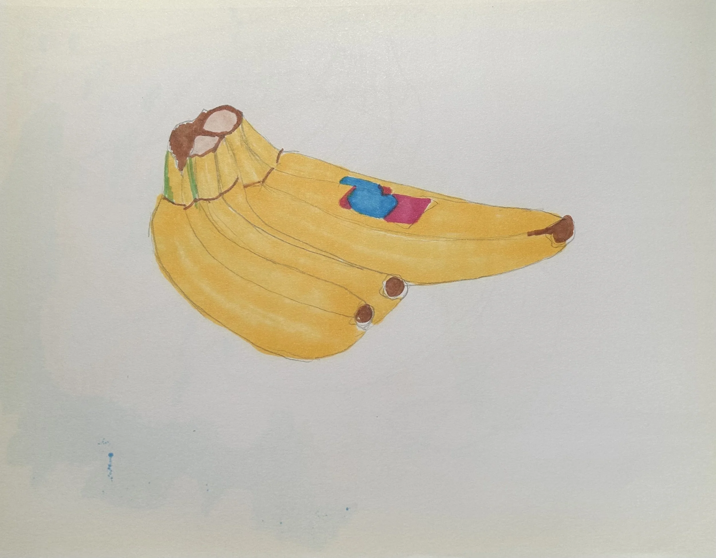 02 SHARPEE - DEFINITE - IMG_1708.jpg