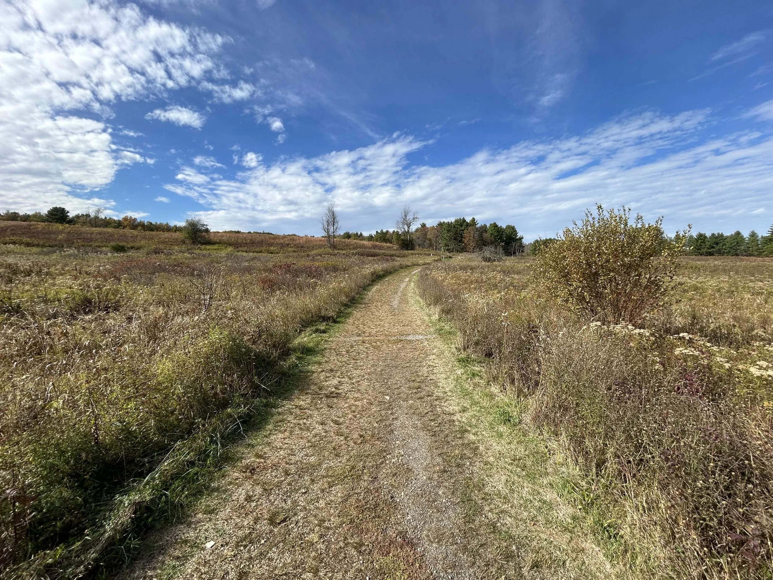 Saratoga National Historical Park, Stillwater, October, 2025