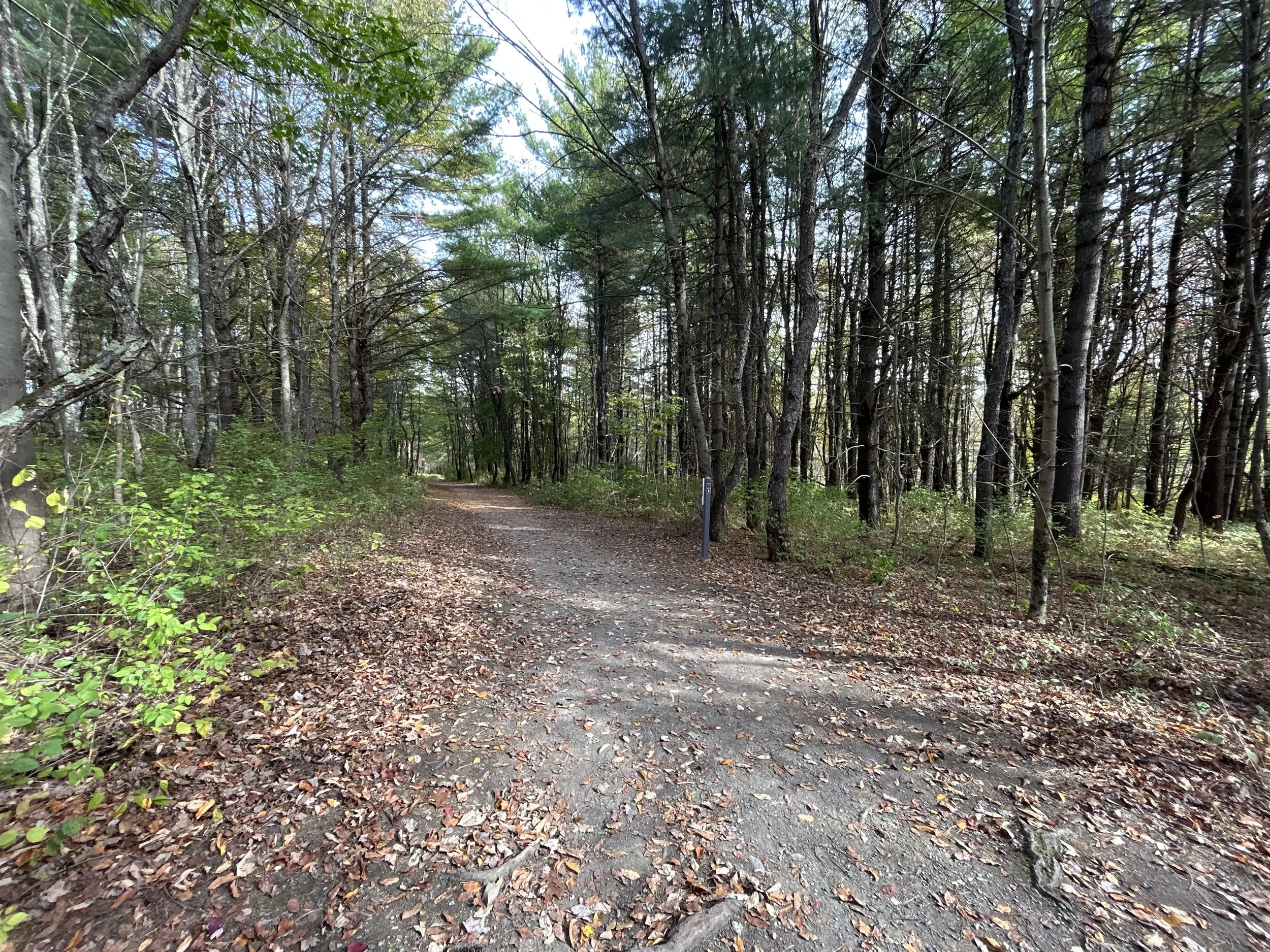 Saratoga National Historical Park, Stillwater, October, 2025