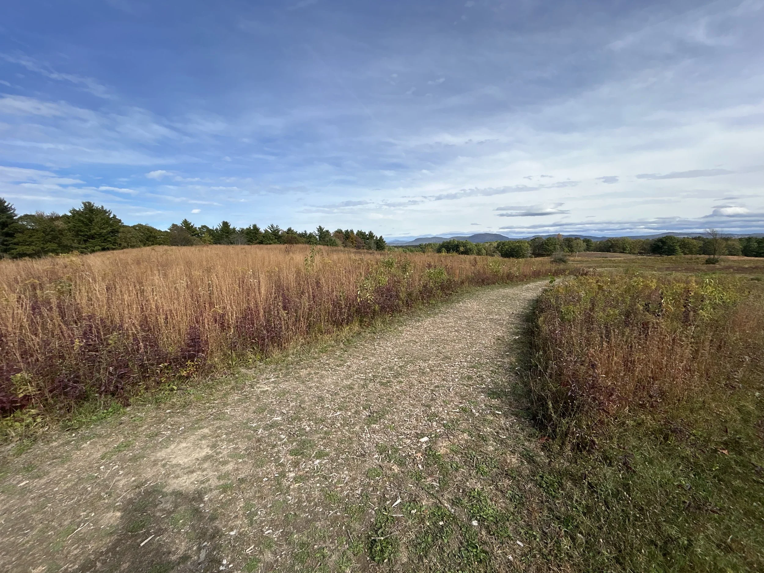Saratoga National Historical Park, Stillwater, October, 2025