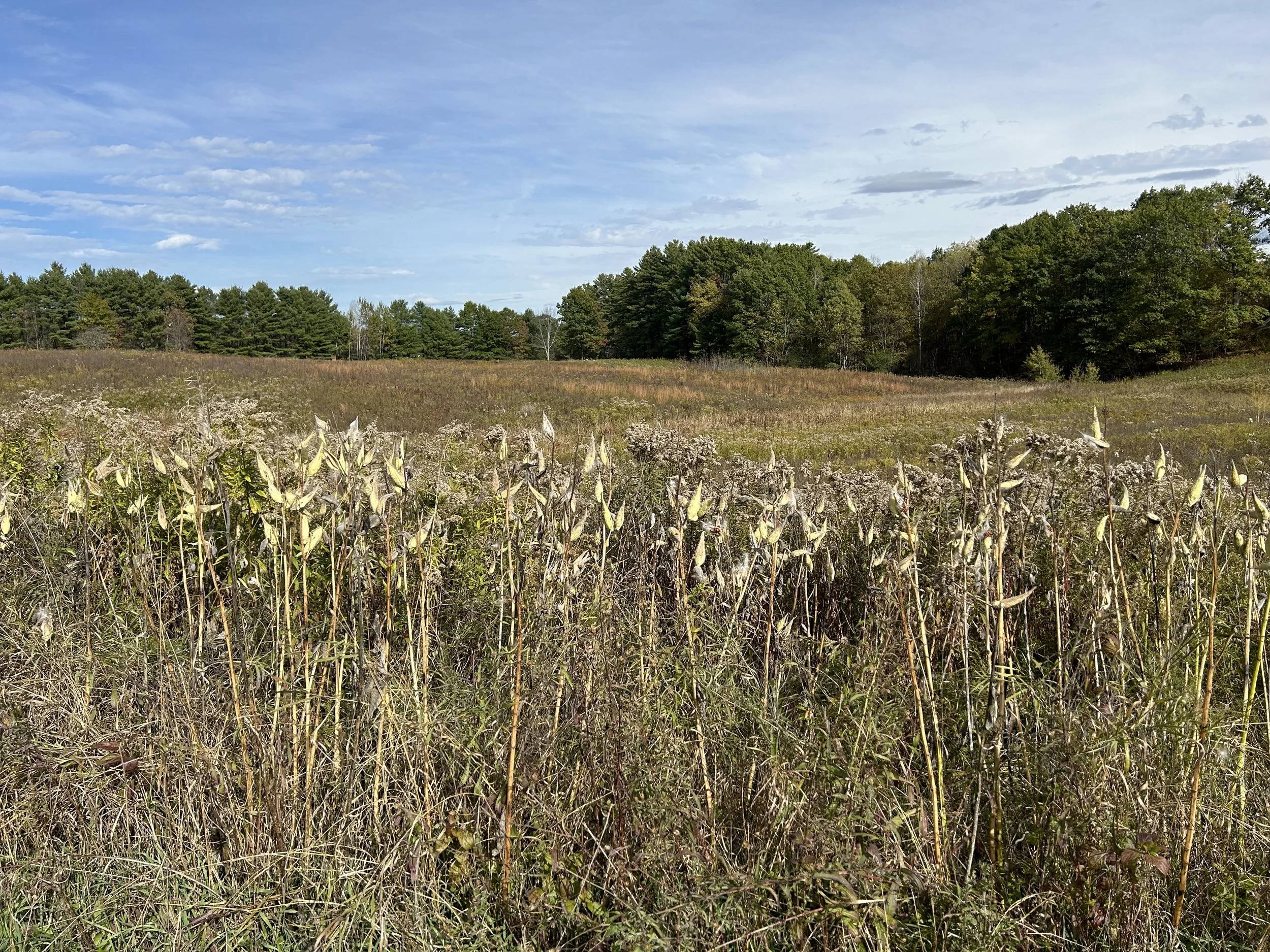Saratoga National Historical Park, Stillwater, October, 2025