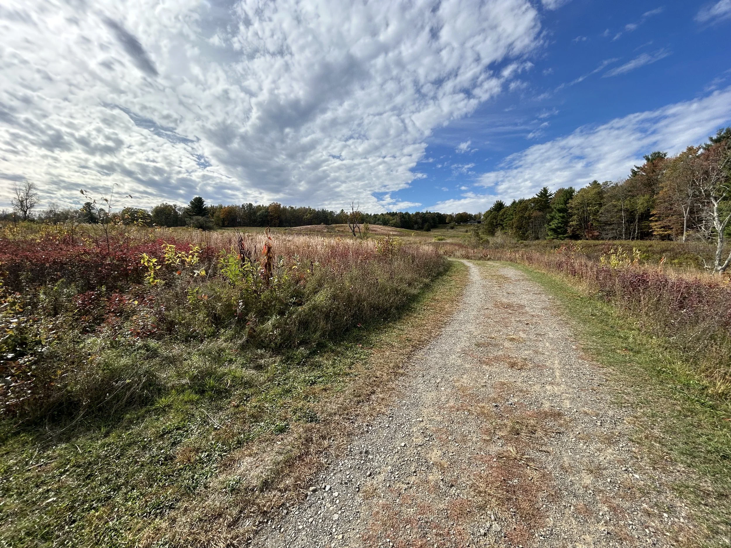 Saratoga National Historical Park, Stillwater, October, 2025