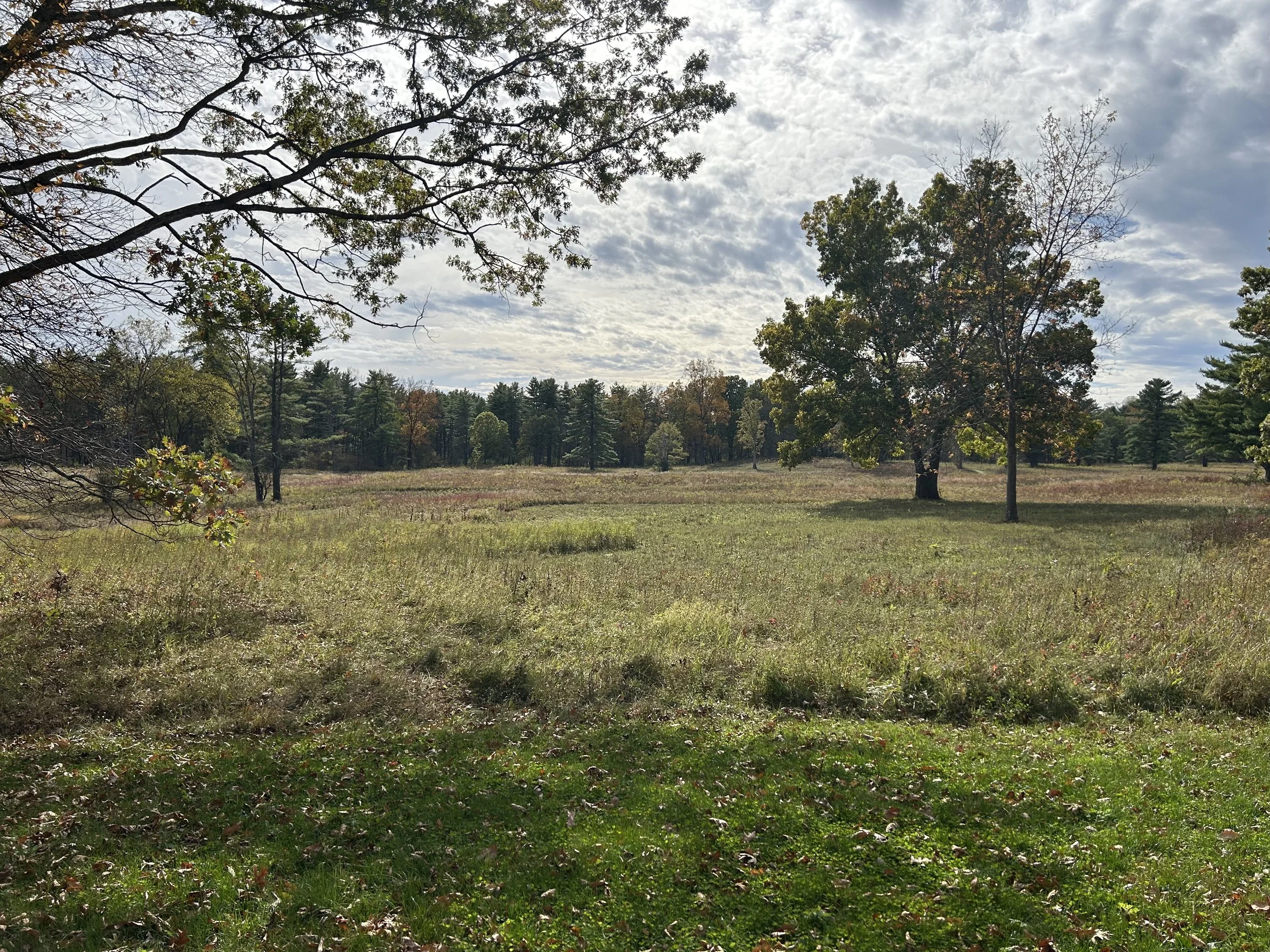 Saratoga National Historical Park, Stillwater, October, 2025