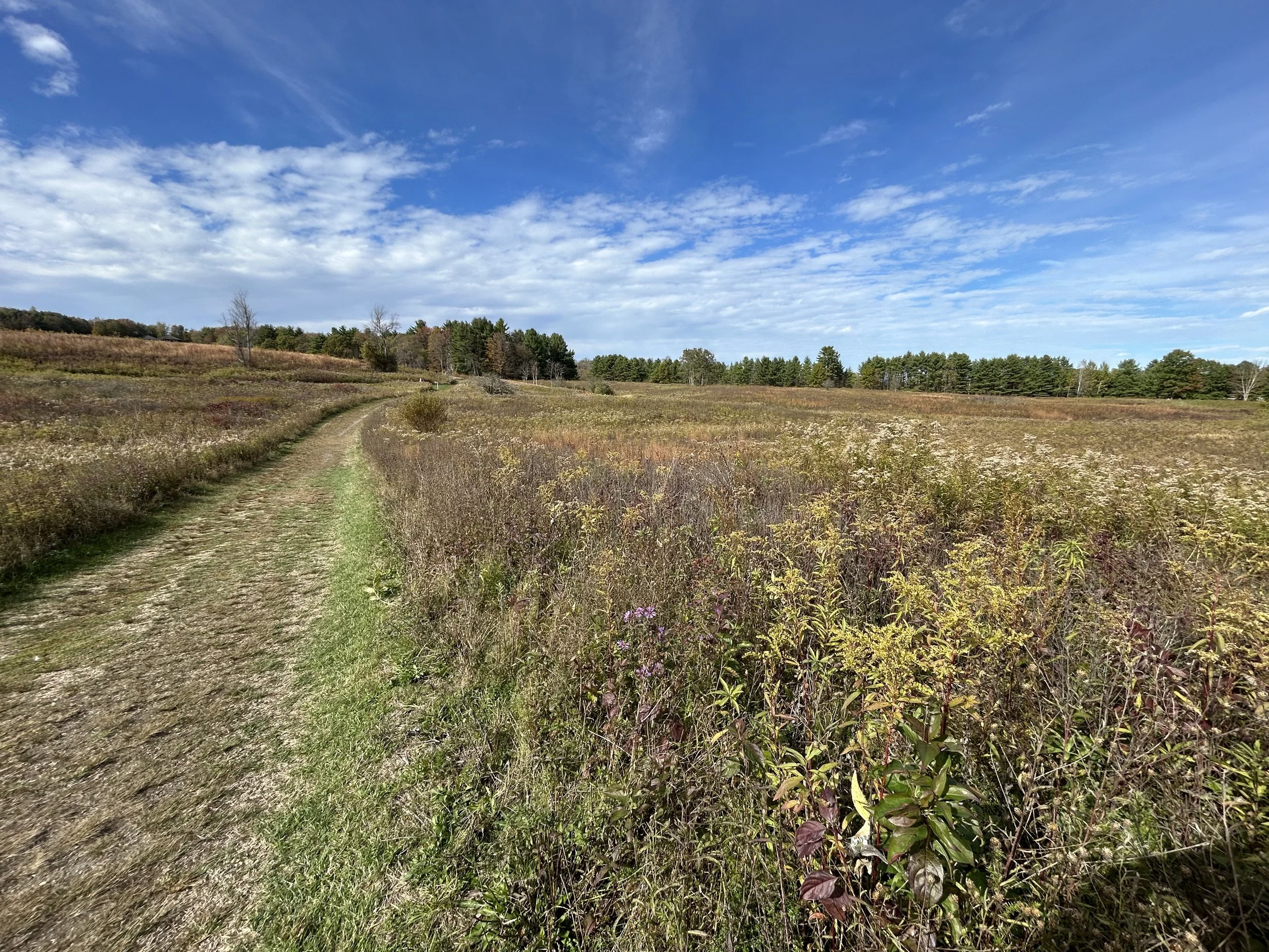 Saratoga National Historical Park, Stillwater, October, 2025