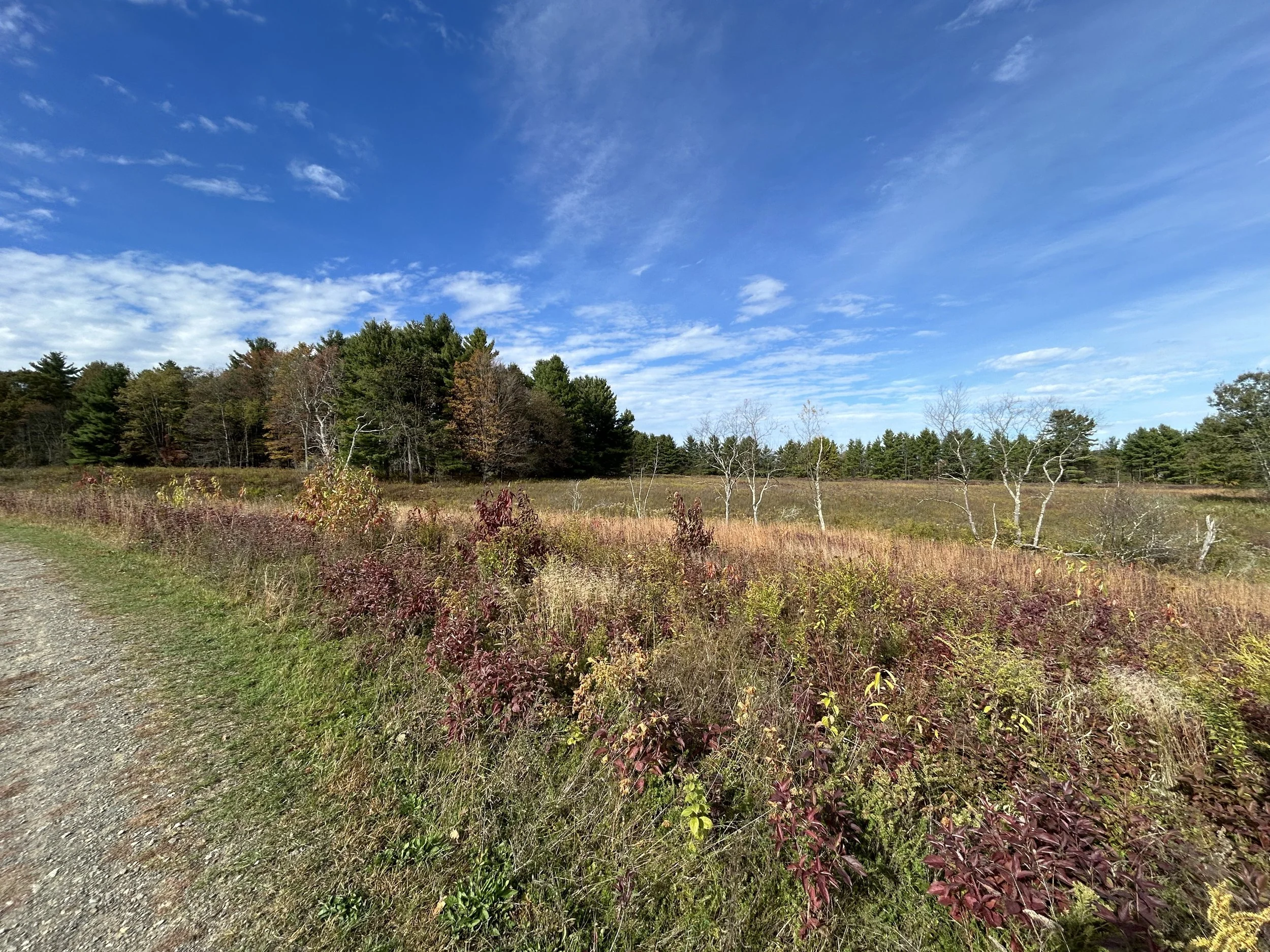 Saratoga National Historical Park, Stillwater, October, 2025