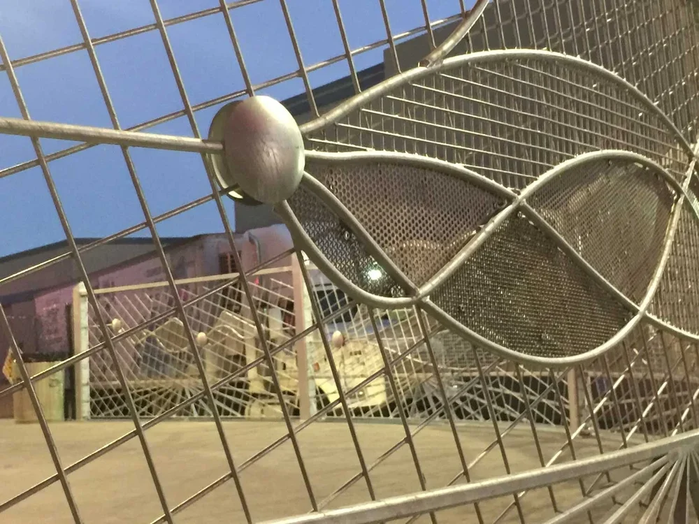 States of Flow Boise ID Skatepark.webp