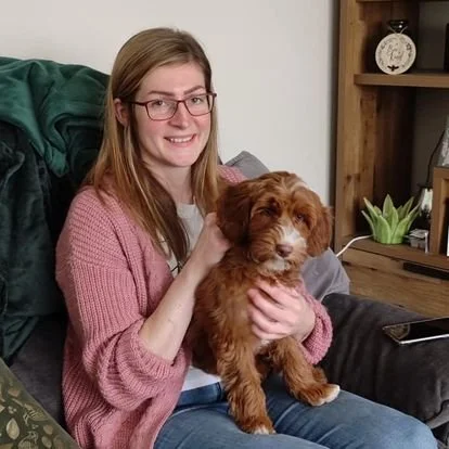 Australian labradoodle uk