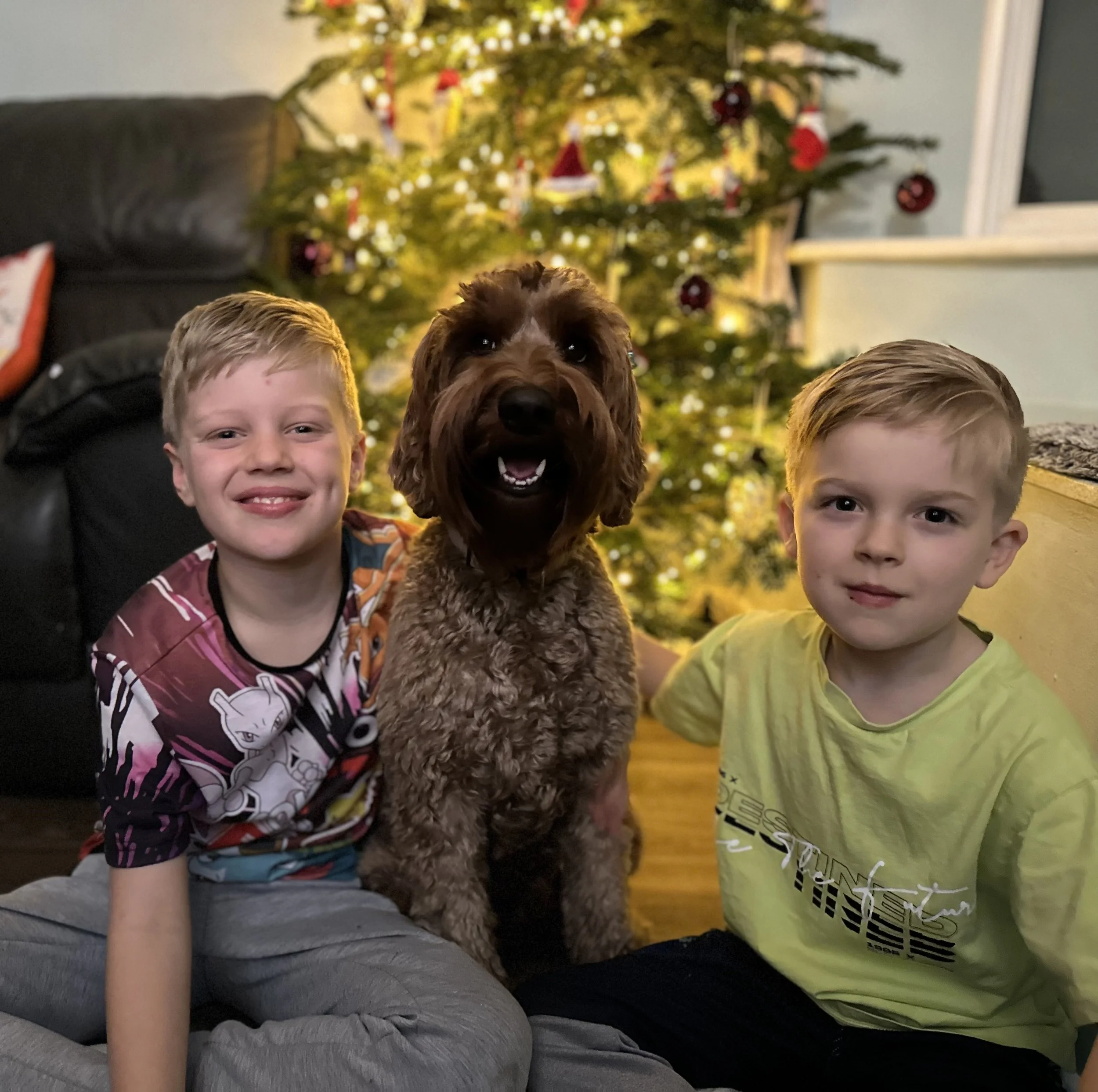 Merry Christmas from Willow’s Australian Labradoodles