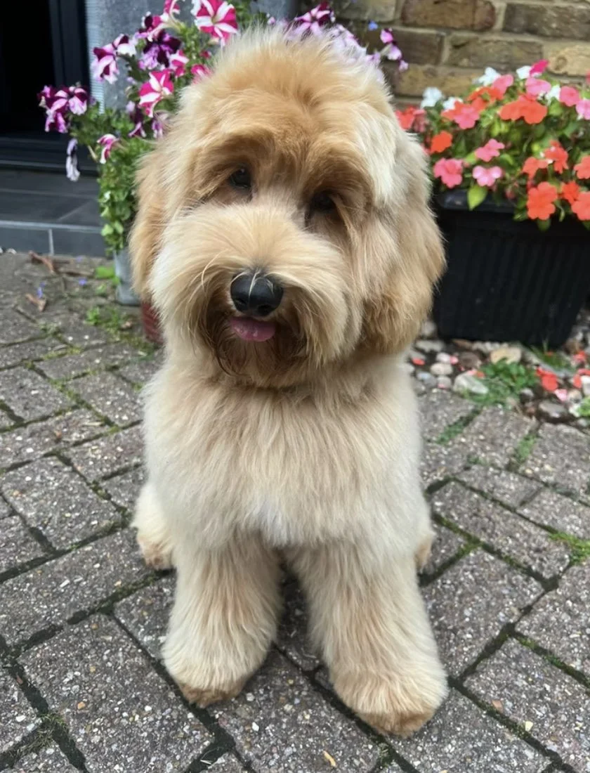 Image 25-02-2026 at 22.44 (2).jpg