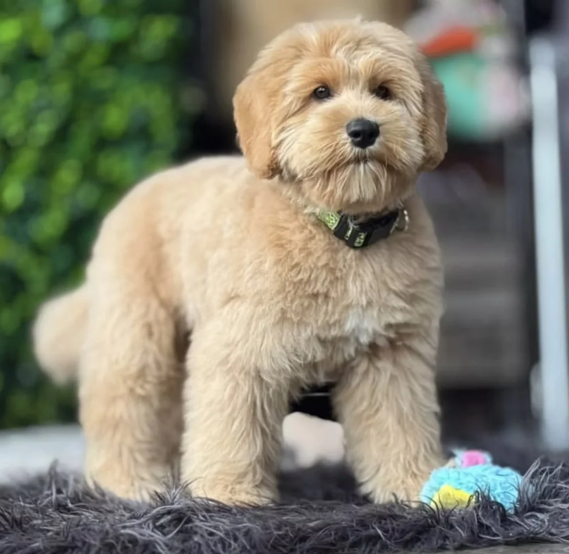 Image 25-02-2026 at 22.45 (3).jpg