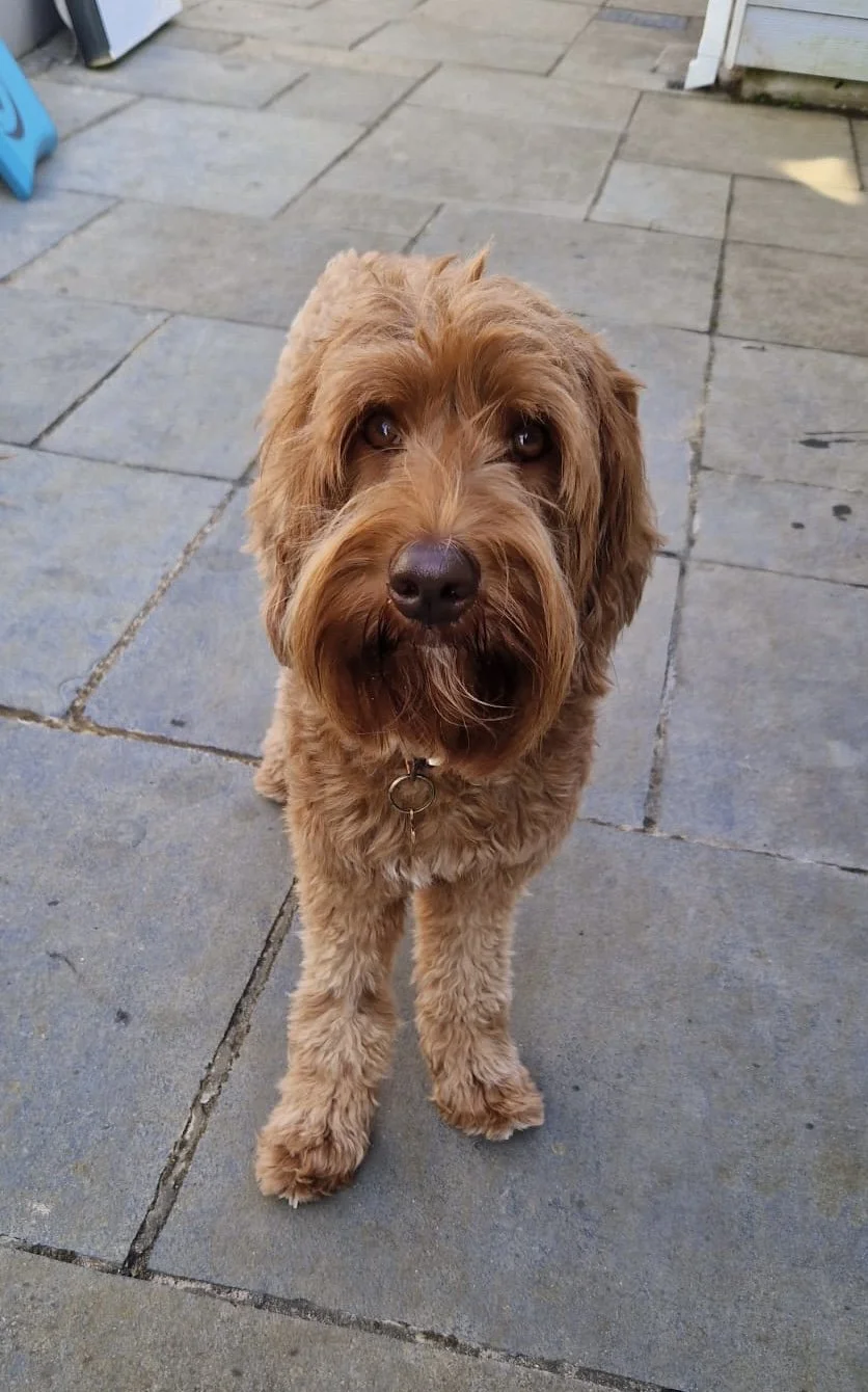 b7f6f5d8-ff22-4c6b-bb51-1eefa0136765 2.jpg