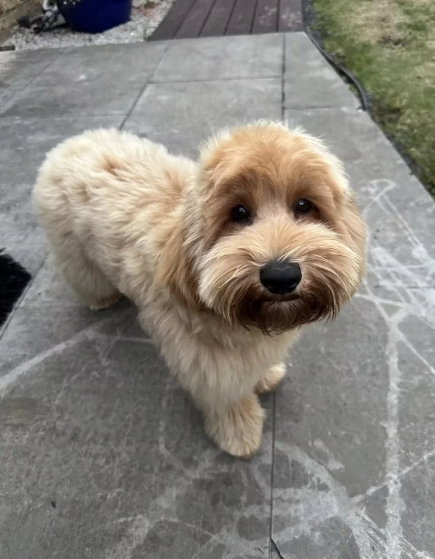 Image 25-02-2026 at 22.44.jpg