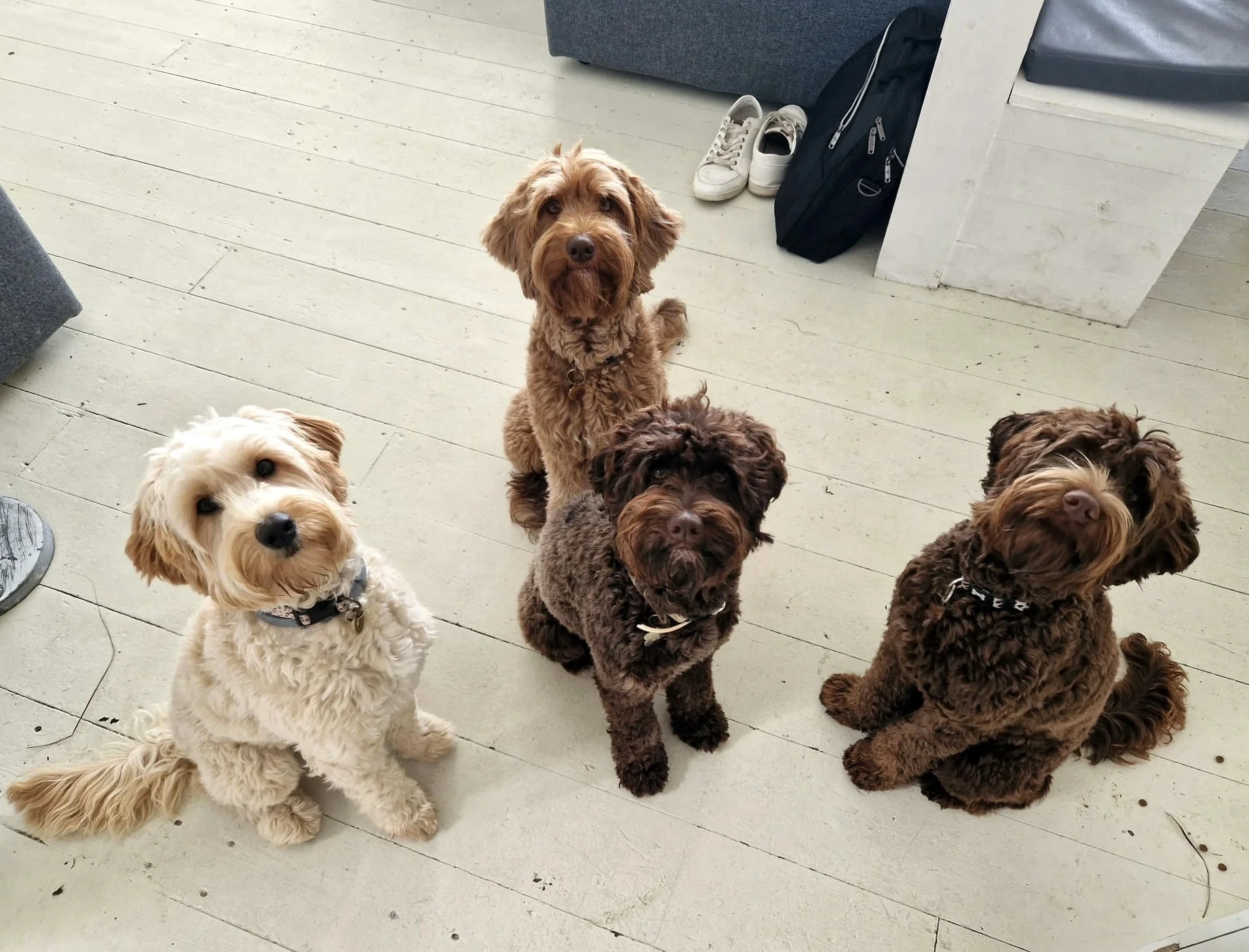 3691bf4d-b4f1-45fe-b083-d420016310a4 3.jpg