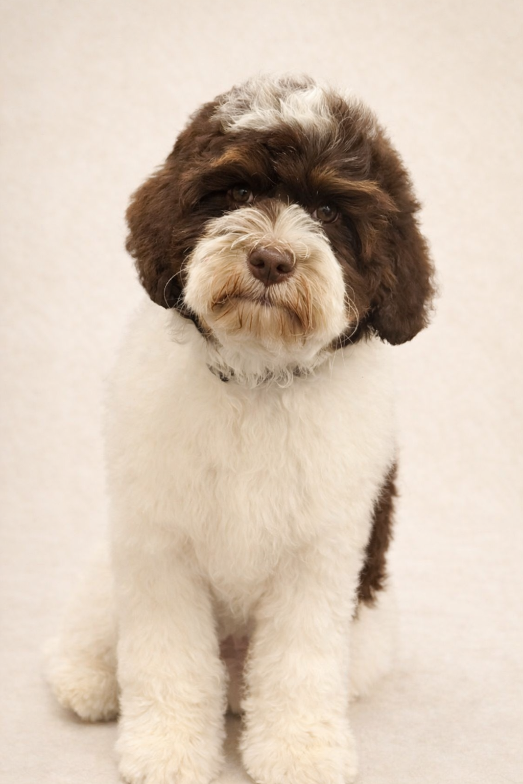 ChatGPT Image Jan 6, 2026 at 12_05_46 PM.png