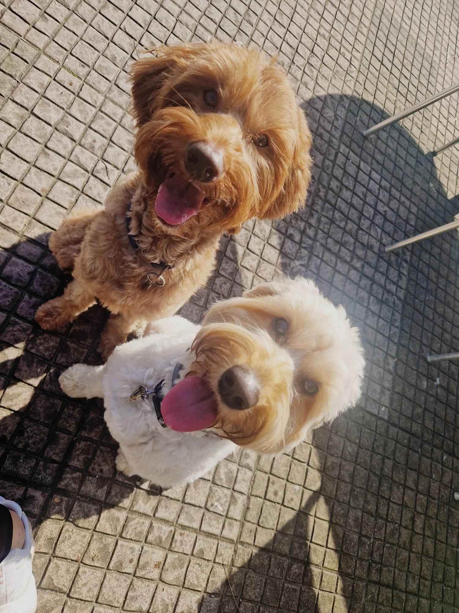 715a7e46-25af-4e0b-a7fb-09776f6b4c22 2.JPG