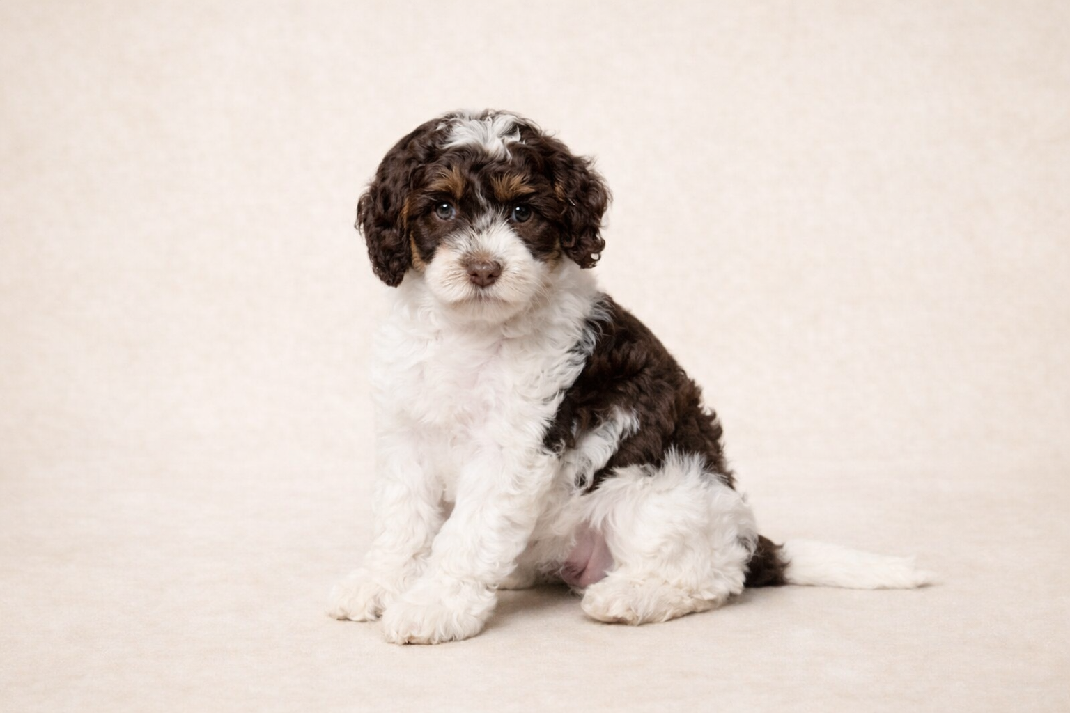 ChatGPT Image Jan 6, 2026 at 12_07_59 PM.png