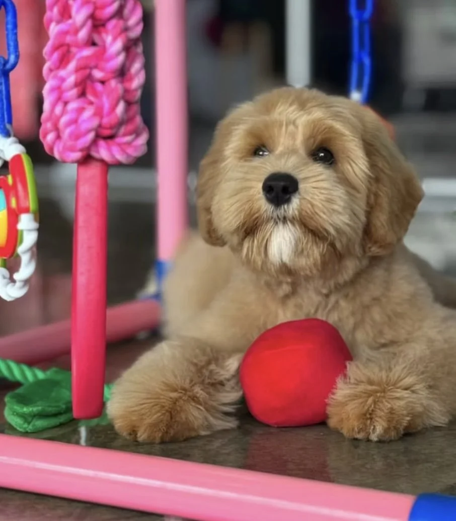 Image 25-02-2026 at 22.45 (2).jpg