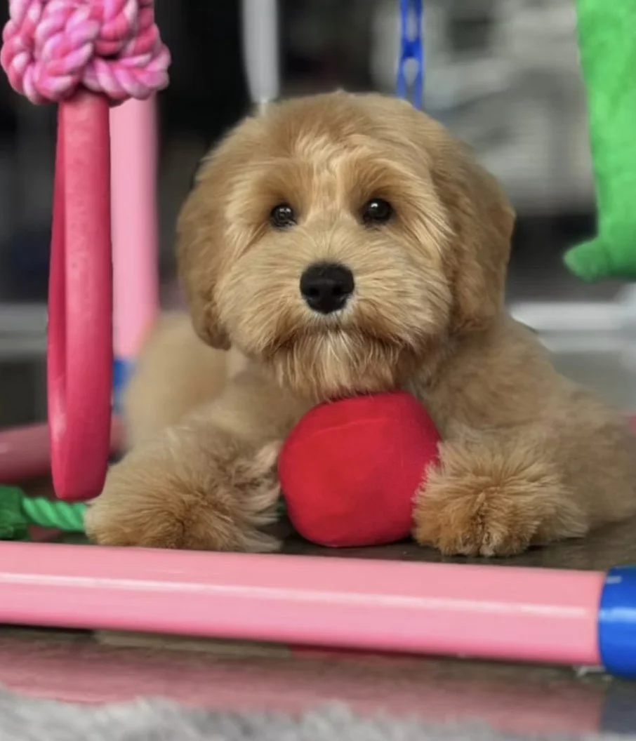 Image 25-02-2026 at 22.46.jpg