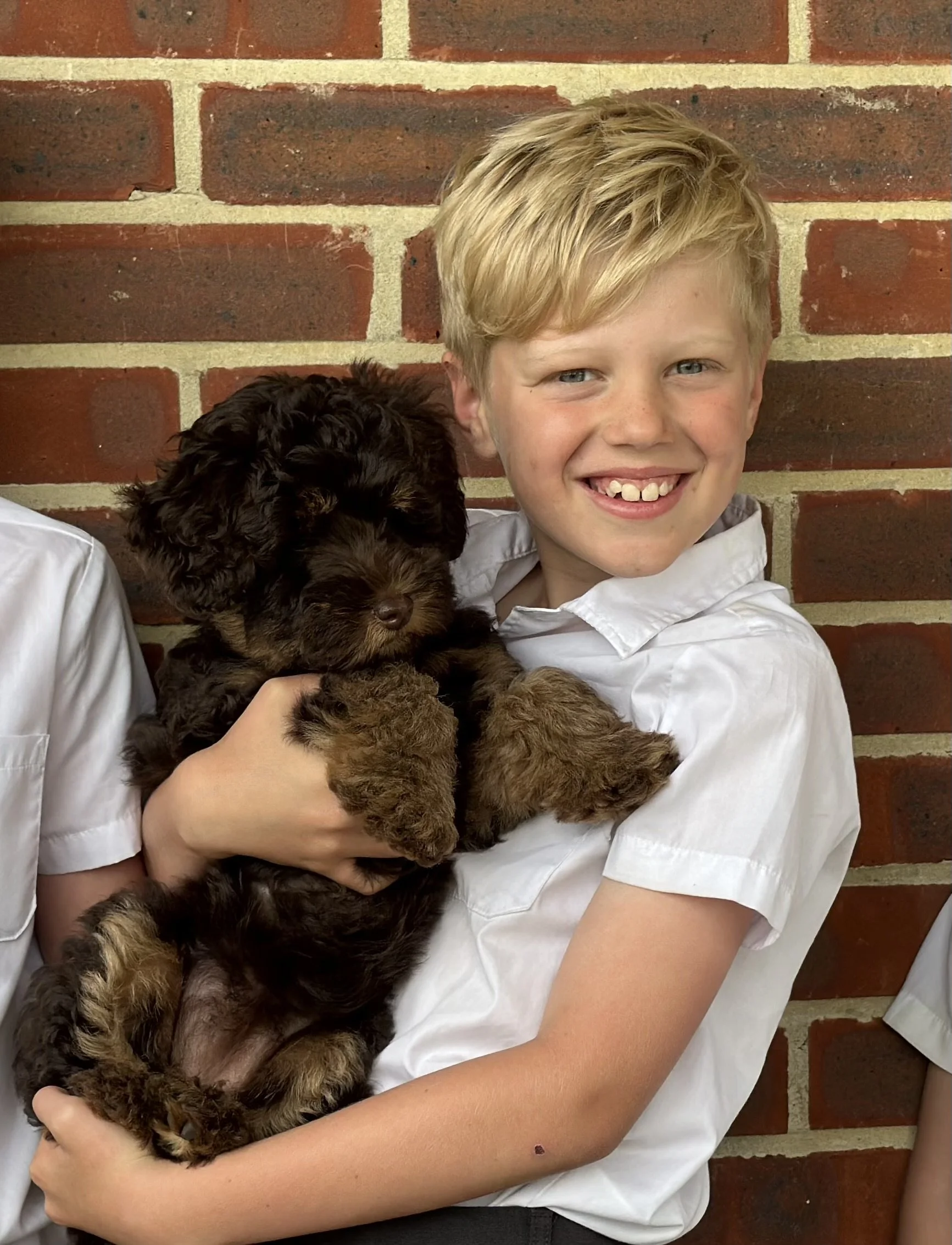 A smiling young boy with blonde hair holding a dark brown, curly-haired puppy in front of a brick wall.