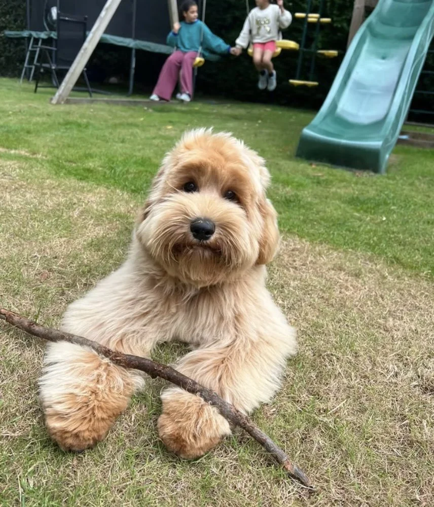 Image 25-02-2026 at 22.44 (1).jpg