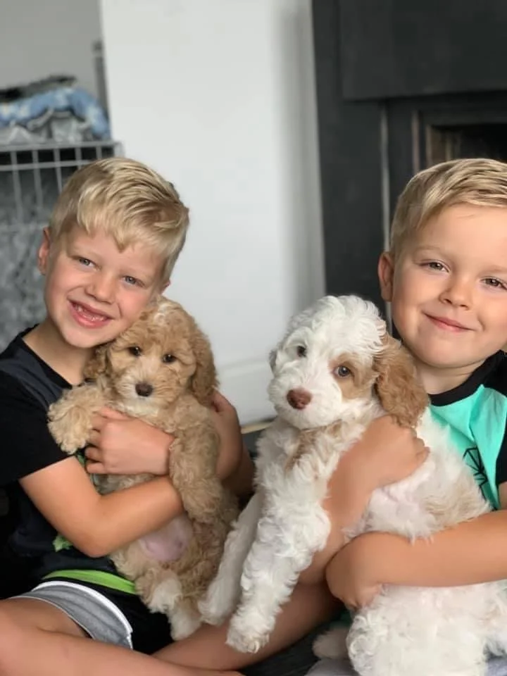 Two smiling young boys sitting indoors, each holding a cute puppy.