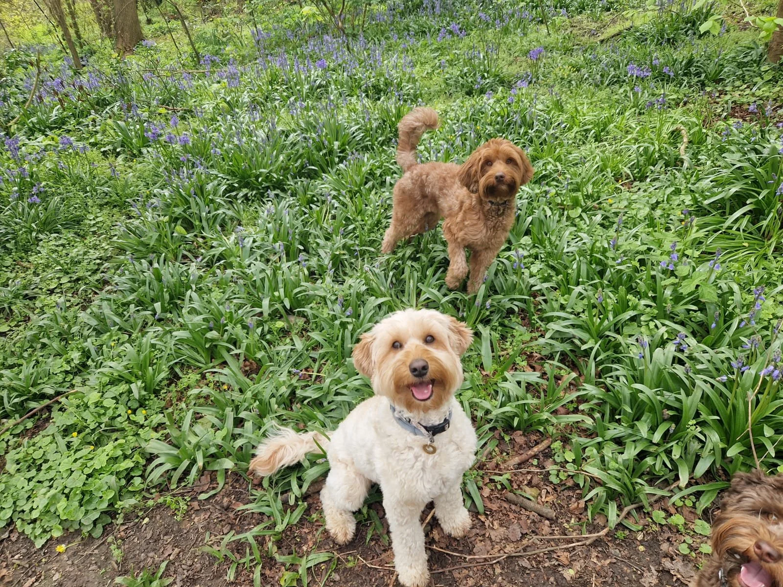 4e193d97-48de-4790-9941-7ccba1b4fc5c 3.JPG