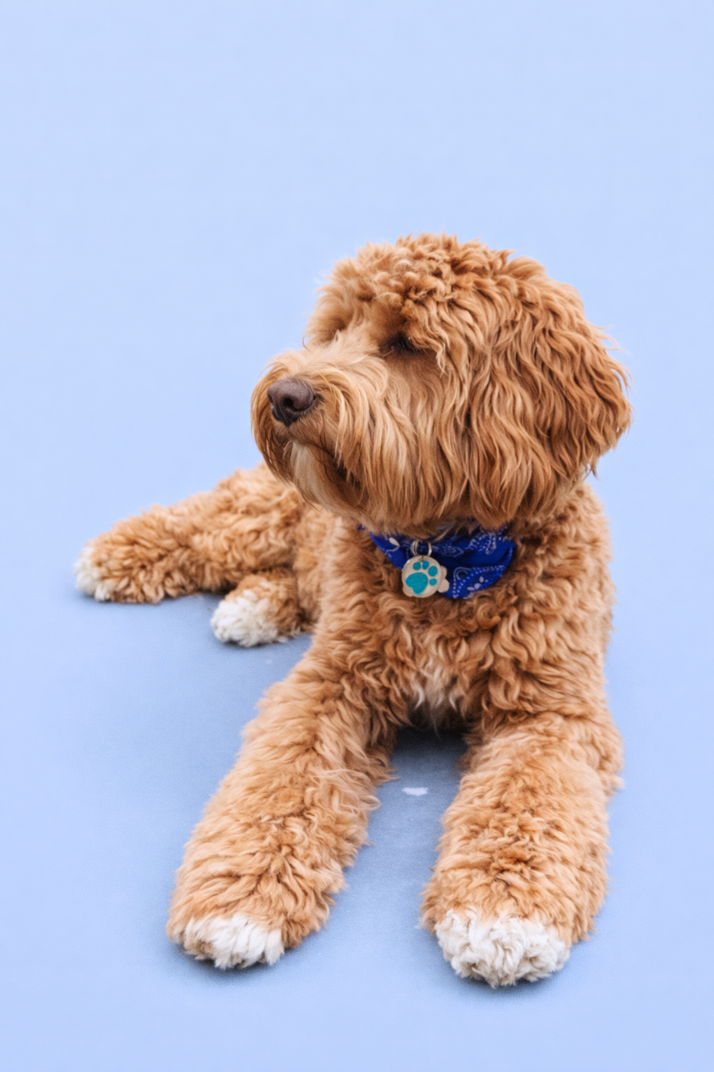 ChatGPT Image Feb 26, 2026 at 09_16_44 AM.png