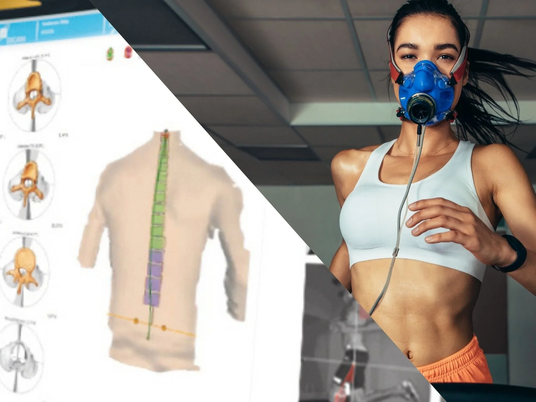 The Hybrid Blueprint (Metabolic + Biomechanical)