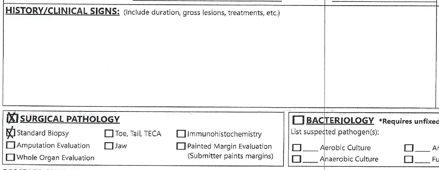 Writing a Useful Clinical History: What Your Pathologist Actually Needs to Know