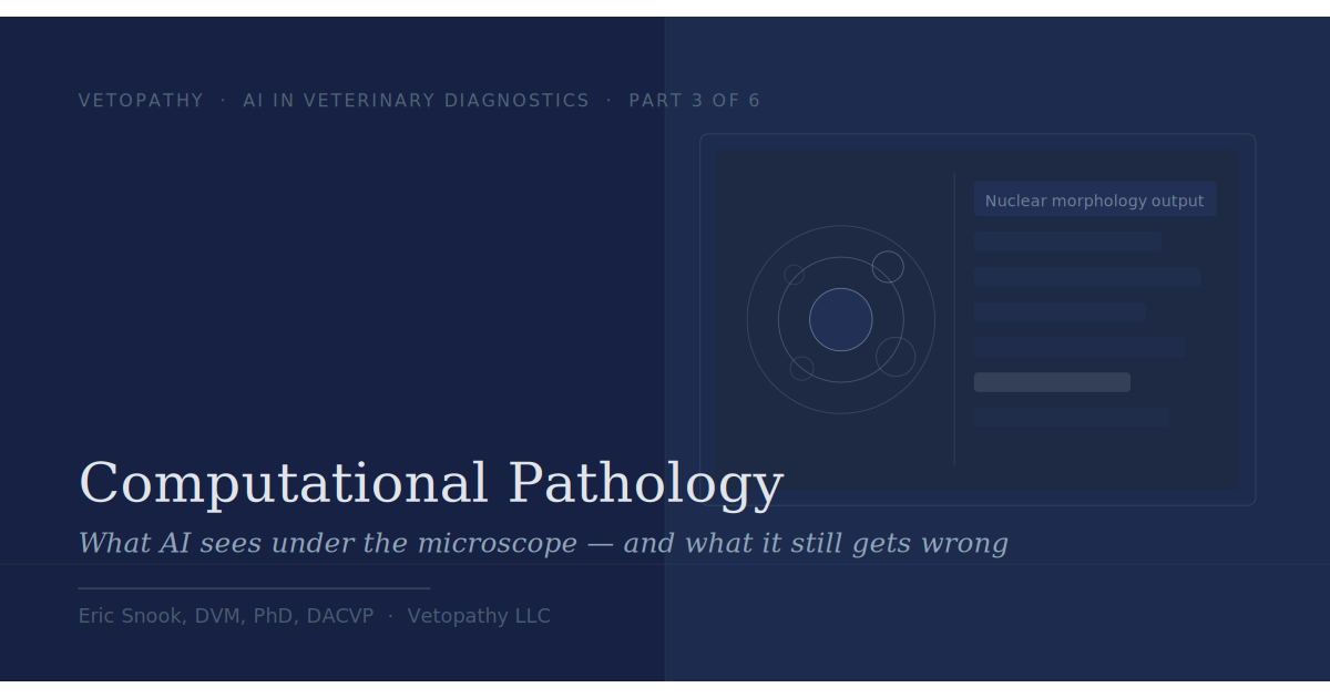 Computational Pathology: What AI Sees Under the Microscope — and What It Still Gets Wrong