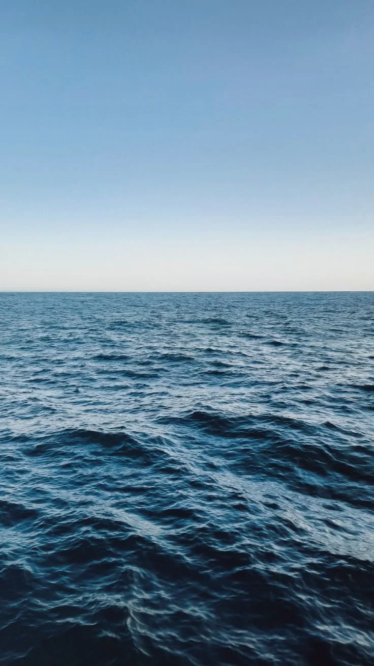 Em qual mar você vai nadar hoje?