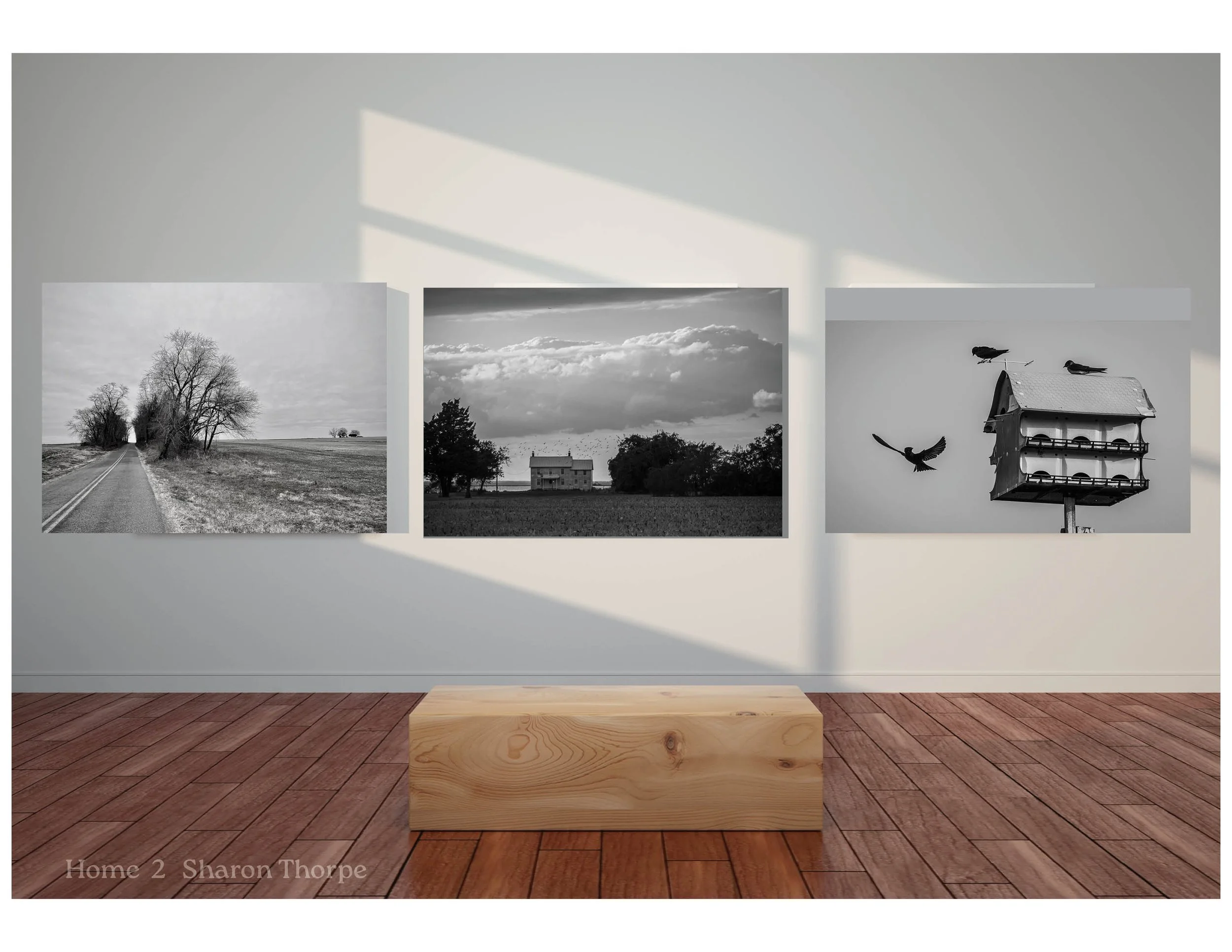 Wall Photo Graphics - IDEAS5.jpg