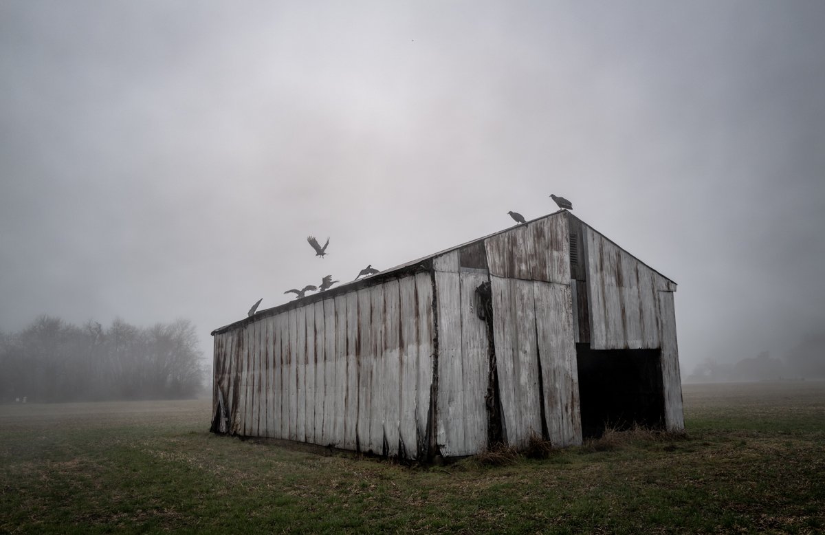 Vulture on a Cloudy Day Barn Roof 1.jpg
