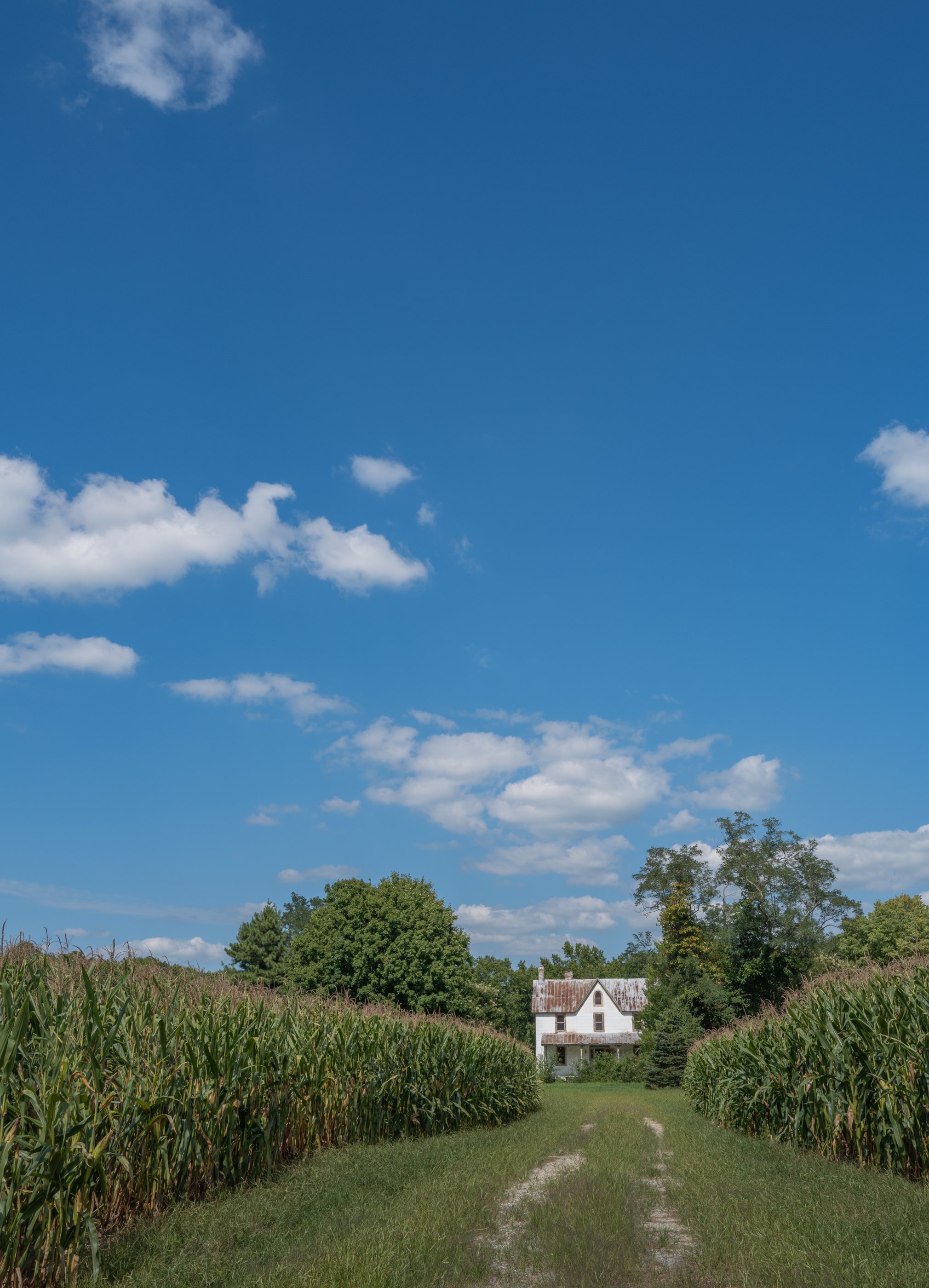 Hynsontown Farmhouse_color.jpg