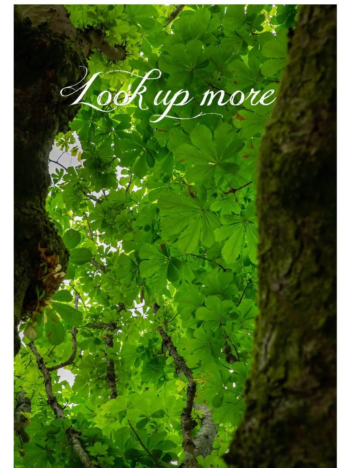 Cards+of+Resolution+and+Inspiration-vert13.jpg
