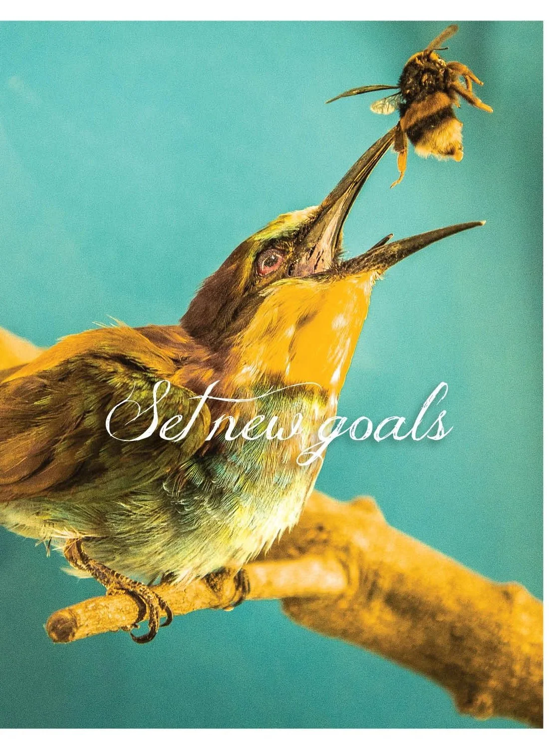 Cards+of+Resolution+and+Inspiration-vert14.jpg