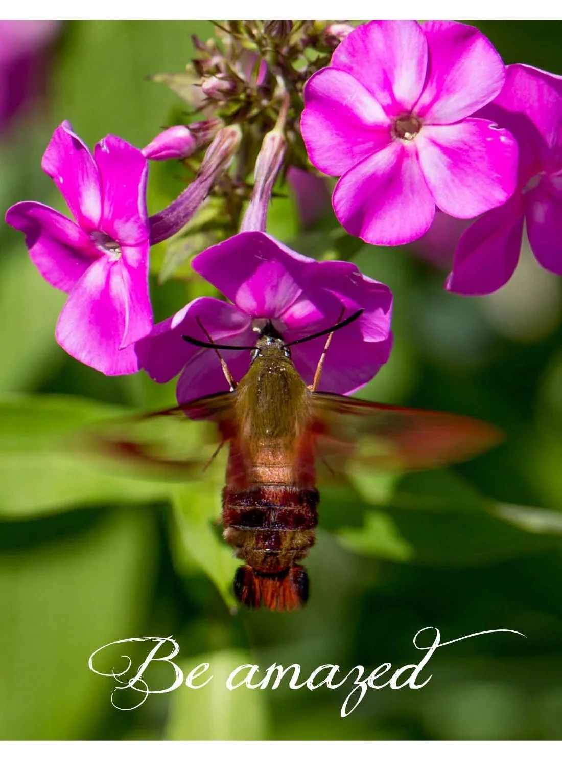 Cards+of+Resolution+and+Inspiration-vert20.jpg
