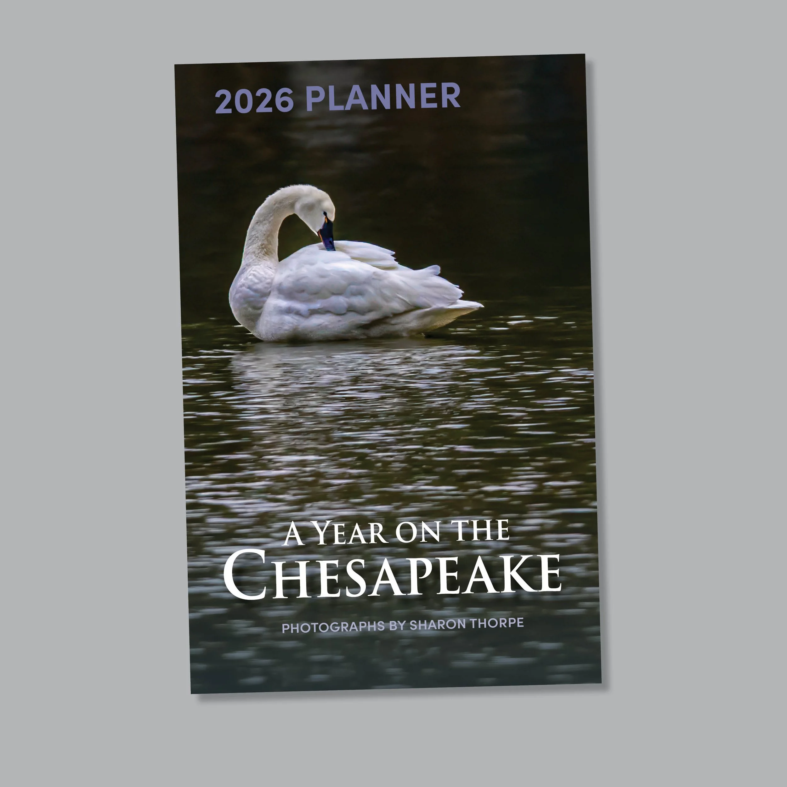 2026 planner cover2.jpg