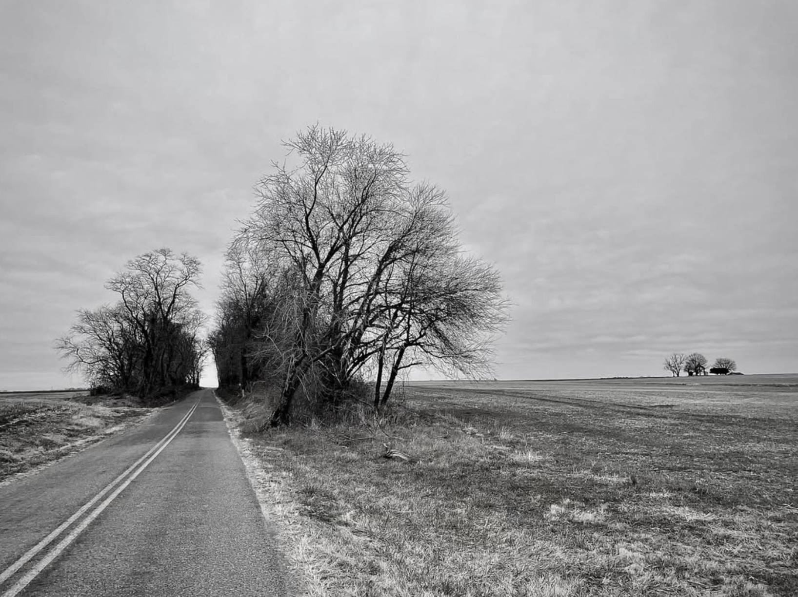 Barren Road_Eastern Shore.png