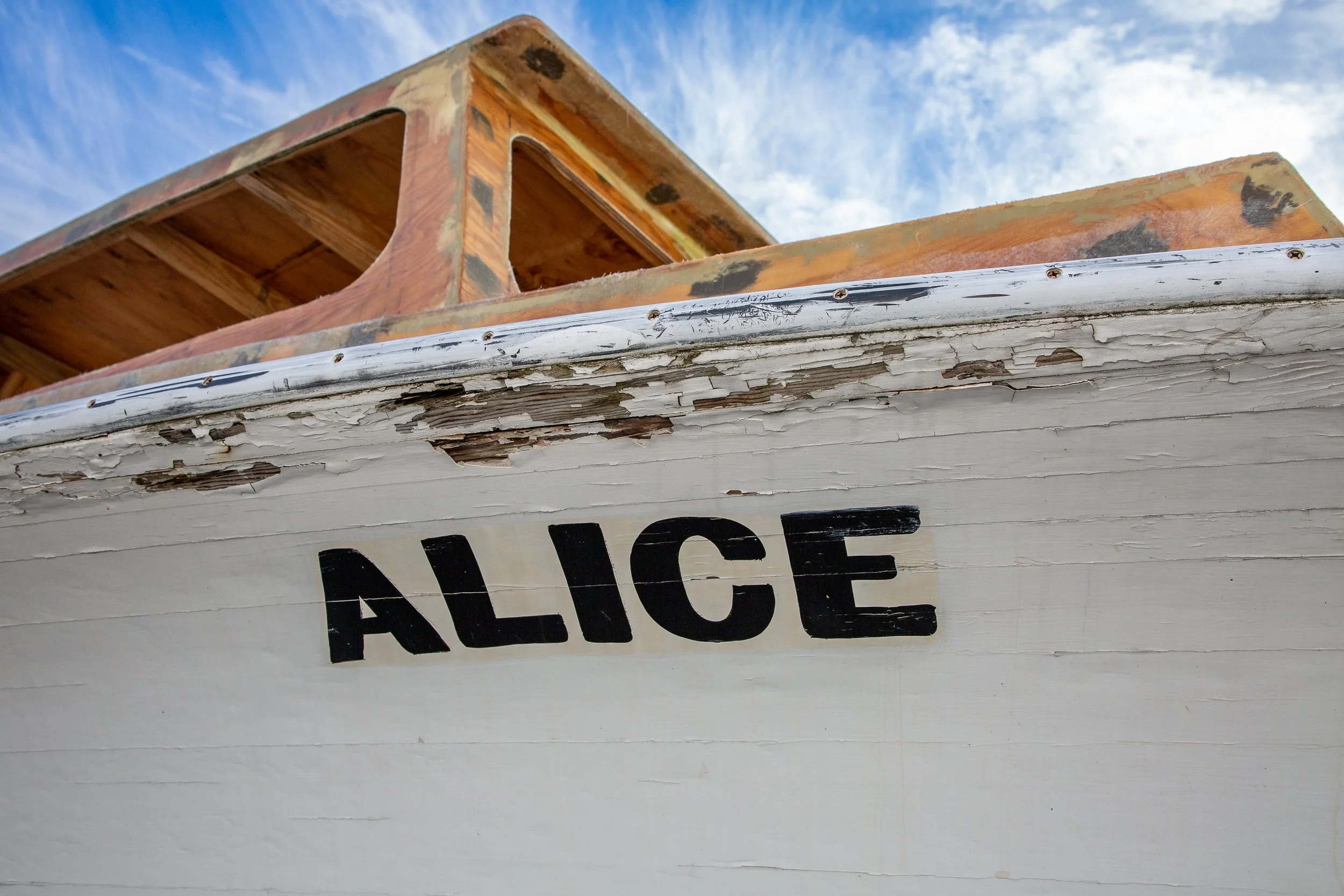 Tilghman_Alice-65.jpg