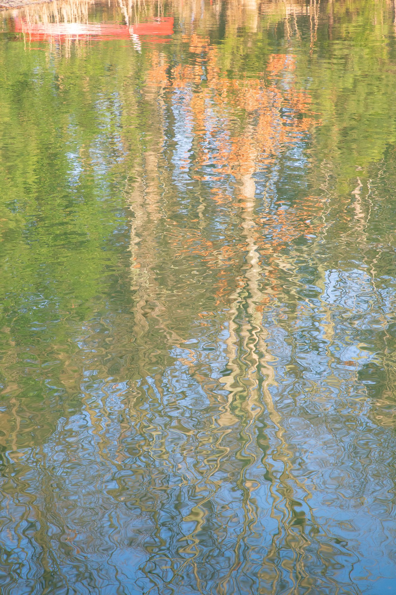 My Red Canoe-079.jpg