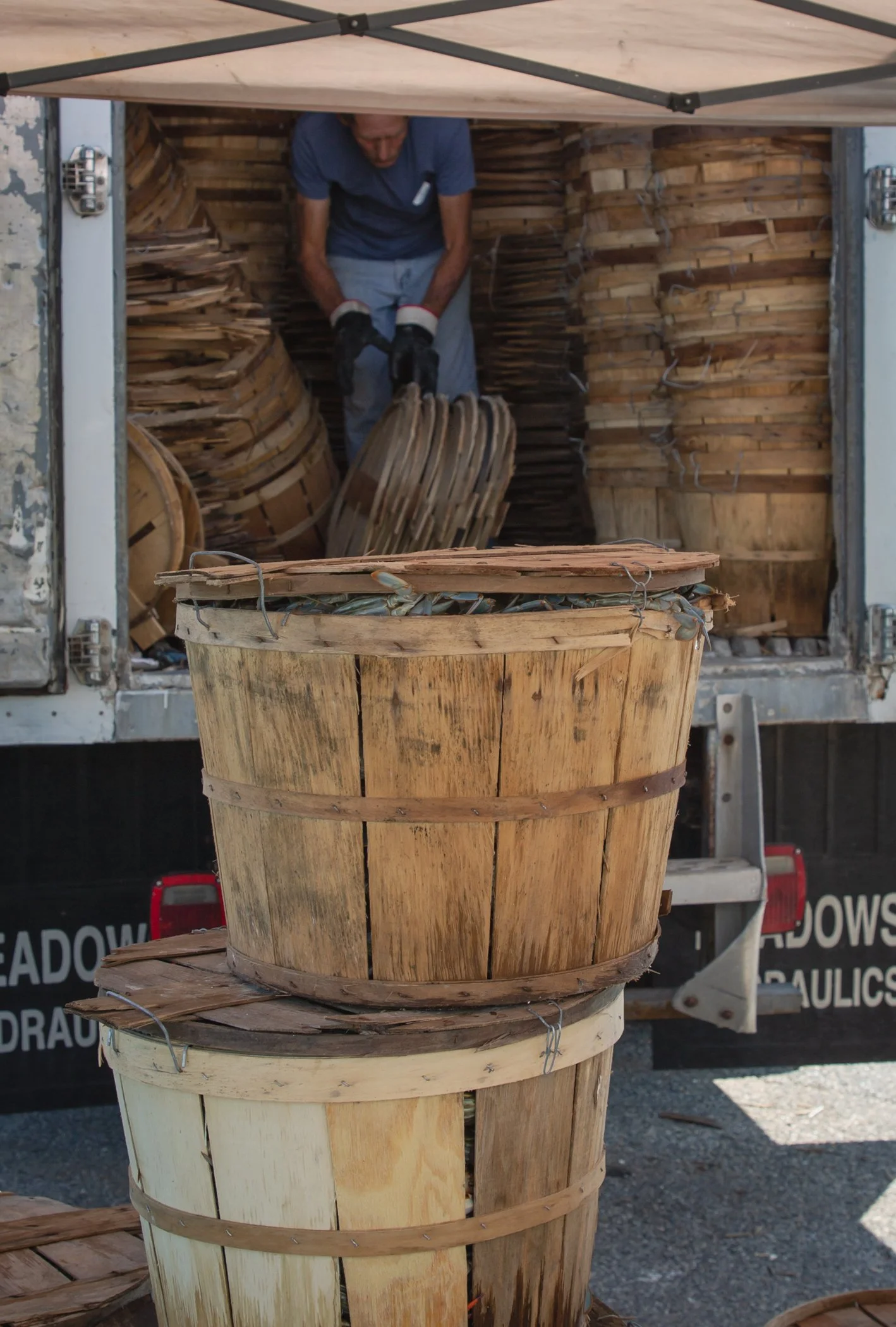 Dogwood Harbor Watermen_Pat in truck3.jpg