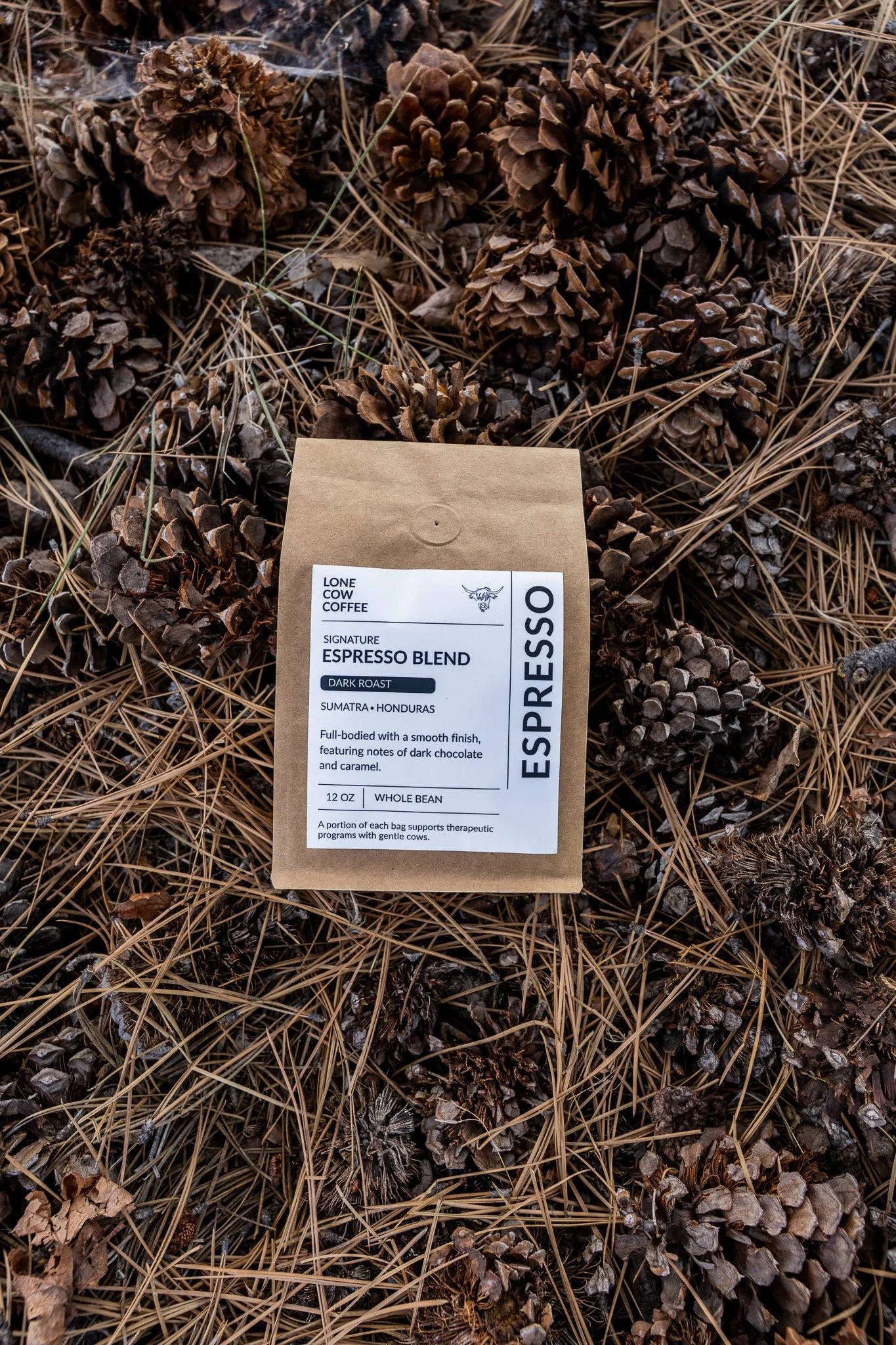 Signature Espresso Blend - Subscription (2 bags/month)