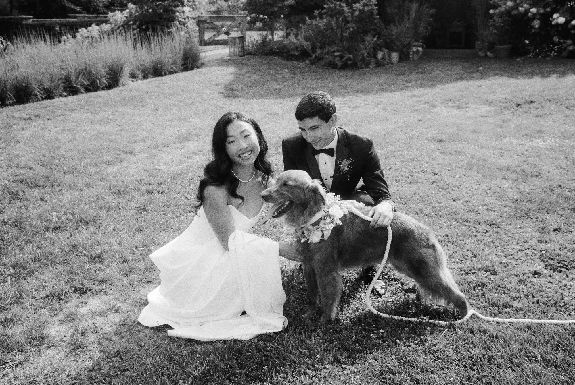 Bride and groom kneeling with their dog wearing a floral collar on the lawn in black and white at Blue Hill at Stone Barns, photographed by Jenny Fu.